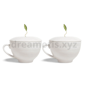 Rooibos Tea & Porcelain Mug Duo